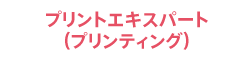 プリントエキスパート（プリンティング）