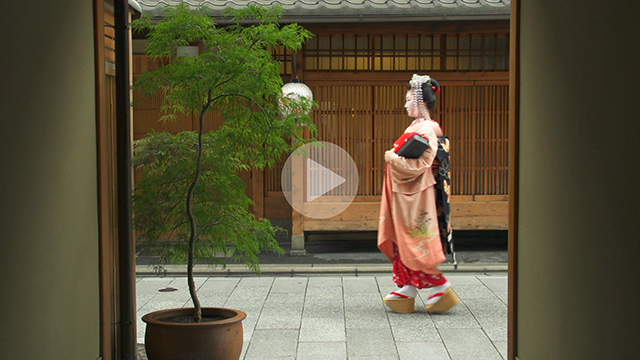 【京都の動画素材レンタル】京都 祇園 宮川町 舞妓