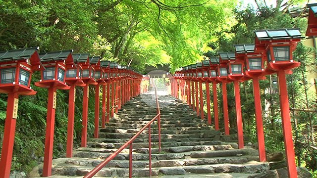 【京都の動画素材レンタル】貴船神社