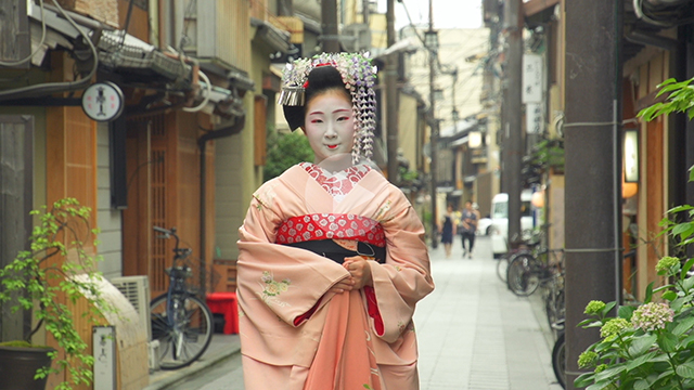 【京都の動画素材レンタル】祇園 宮川町 舞妓 02