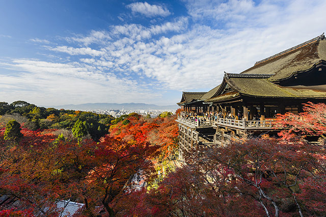 【京都の写真素材レンタル】清水寺 紅葉 秋