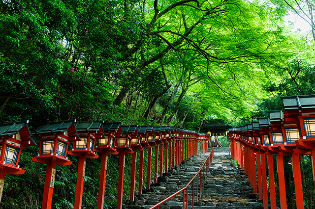 【京都の写真素材レンタル】貴船神社 夏