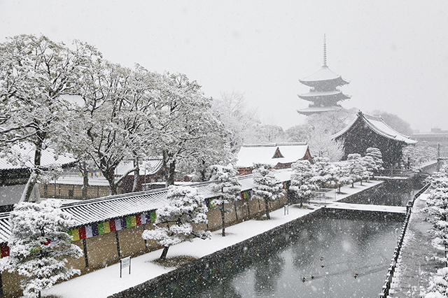 【京都の写真素材レンタル】東寺 雪 冬