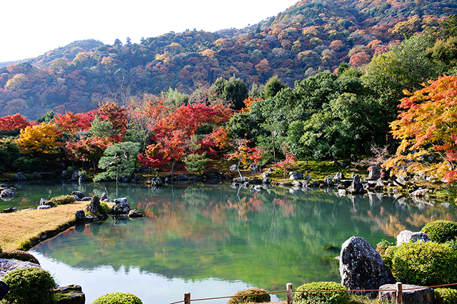 【京都の写真素材レンタル】天龍寺 嵐山 紅葉 秋