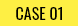 CASE1